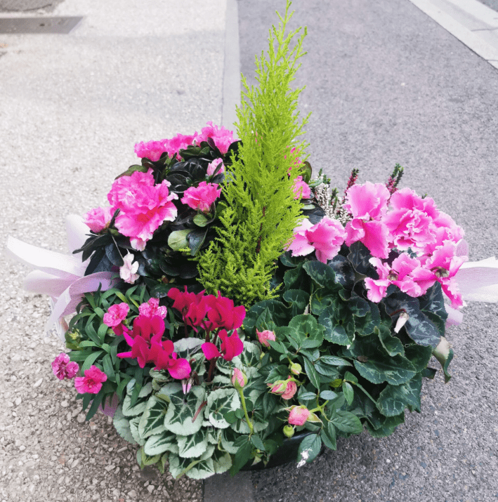 Boutique Fleur Deuil 11 Boutique Fleur Deuil -Boutique Fleur Deuil Screenshot 1 min 2