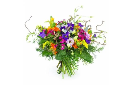 Bouquet Champêtre Pétillant "Naples" 1 Bouquet Champêtre Pétillant "Naples"