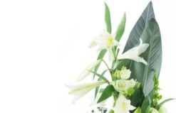 Bouquet De Deuil Blanc, Condoléances -Boutique Fleur Deuil bouquet de deuil blanc condoleances 2