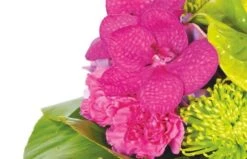 Bouquet De Fleurs Boudoir 5 Bouquet De Fleurs Boudoir -Boutique Fleur Deuil bouquet de fleurs boudoir 2