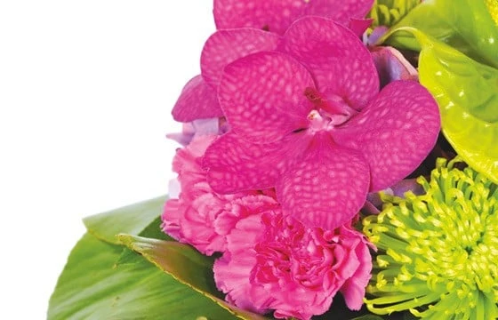 Bouquet De Fleurs Boudoir 3 Bouquet De Fleurs Boudoir – Image 3