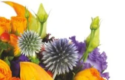 Boutique Fleur Deuil -Boutique Fleur Deuil bouquet de fleurs luberon 1