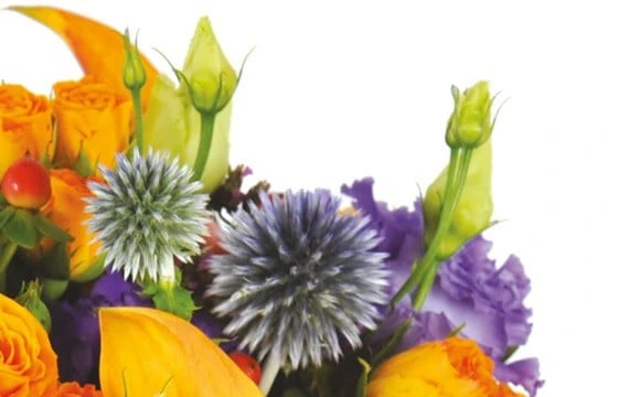 Bouquet De Fleurs Luberon 2 Bouquet De Fleurs Luberon – Image 2