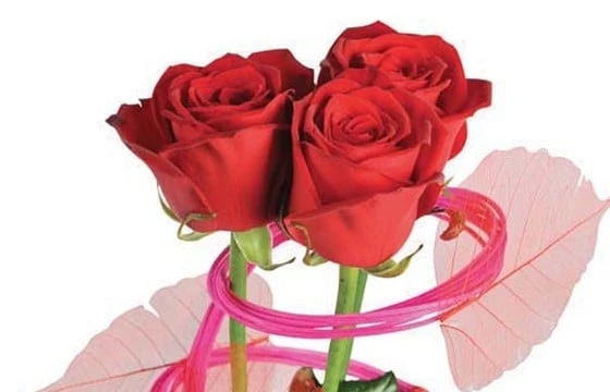 Bouquet De Roses Ma Princesse 2 Bouquet De Roses Ma Princesse – Image 2