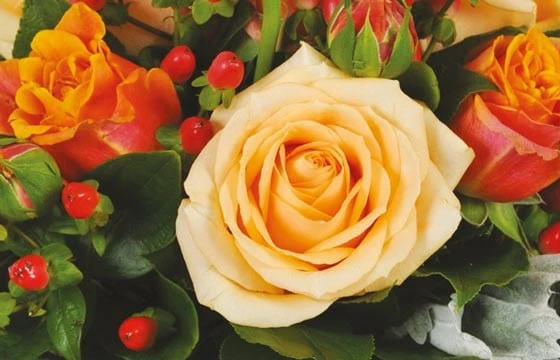 Bouquet De Roses Rond Louisiane 2 Bouquet De Roses Rond Louisiane â Image 2