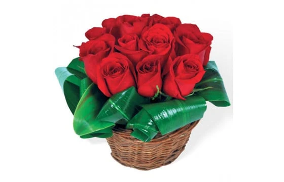 Bouquet De Roses Rouges Brazilia 1 Bouquet De Roses Rouges Brazilia
