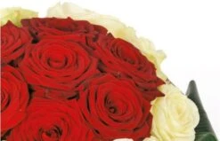 Bouquet De Roses Rouges Et Blanches Complicité -Boutique Fleur Deuil bouquet de roses rouges et blanches complicite 2