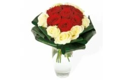 Bouquet De Roses Rouges Et Blanches Complicité