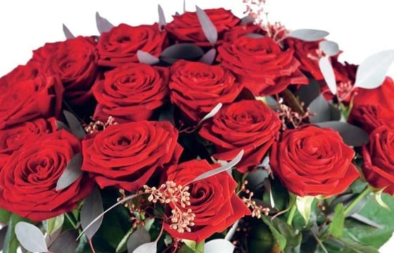 Bouquet De Roses Rouges Noblesse 2 Bouquet De Roses Rouges Noblesse – Image 2