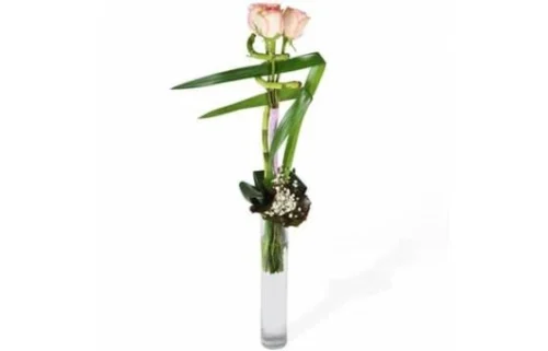 Bouquet Linéaire De Roses Comtesse