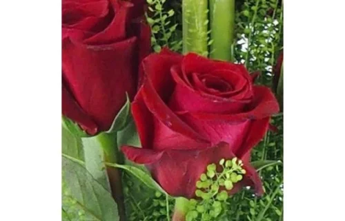 Bouquet Long De Roses Rouges "Saragosse" -Boutique Fleur Deuil bouquet long de roses rouges saragosse 2