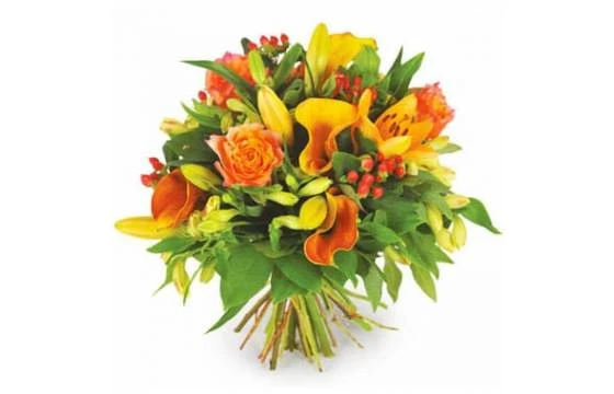 Bouquet Orange Tonique 1 Bouquet Orange Tonique