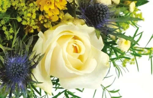 Bouquet Rond Alchimie 5 Bouquet Rond Alchimie -Boutique Fleur Deuil bouquet rond alchimie 2