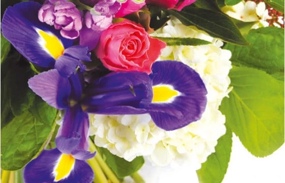 Bouquet Rond Boréales 2 Bouquet Rond Boréales – Image 2