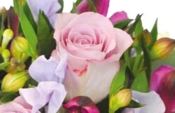 Boutique Fleur Deuil -Boutique Fleur Deuil bouquet rond eclat 1