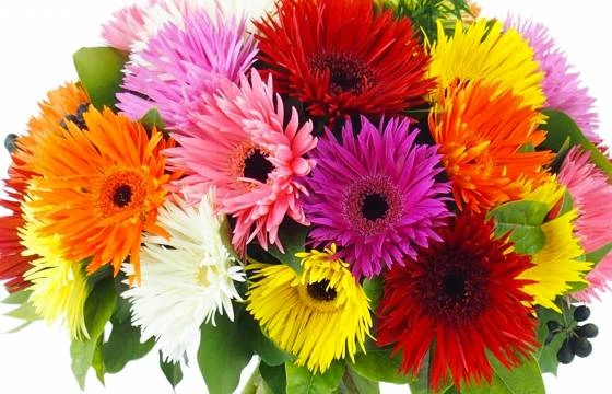 Bouquet Rond Multicolore " Stockholm" 2 Bouquet Rond Multicolore " Stockholm" – Image 2