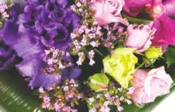 Bouquet Rond Perle D'O 5 Bouquet Rond Perle D'O -Boutique Fleur Deuil bouquet rond perle d o 2