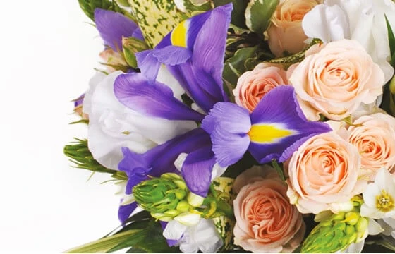 Bouquet Rond Reine 2 Bouquet Rond Reine – Image 2