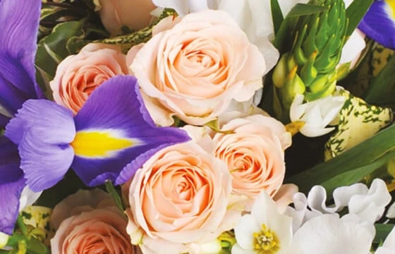 Bouquet Rond Reine 3 Bouquet Rond Reine – Image 3