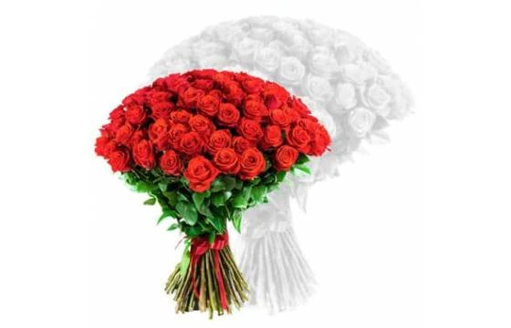 Roses Rouges Courtes Tiges 1 Roses Rouges Courtes Tiges