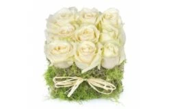 Carré De Roses Blanches Déclaration