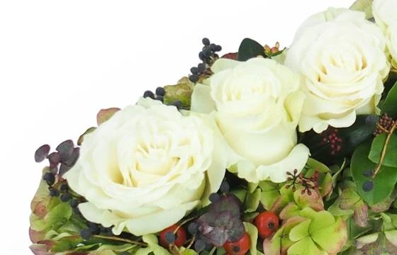 Chemin De Roses Blanches "Eschyle" 2 Chemin De Roses Blanches "Eschyle" – Image 2