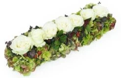 Chemin De Roses Blanches "Eschyle"