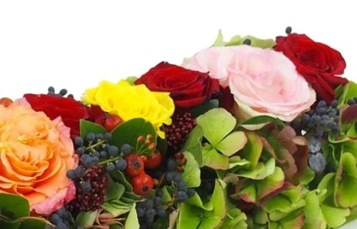 Chemin De Roses Colorées "Socrate" -Boutique Fleur Deuil chemin de roses colorees socrate 2