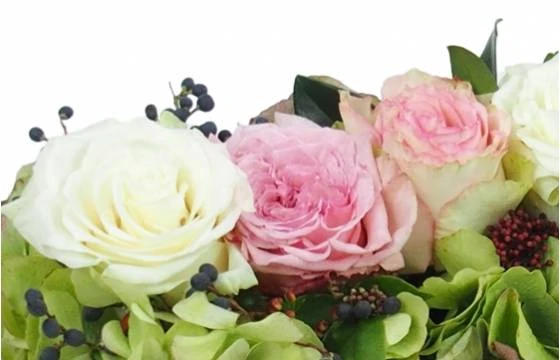 Chemin De Roses Roses & Blanches "Cérès" 2 Chemin De Roses Roses & Blanches "Cérès" – Image 2