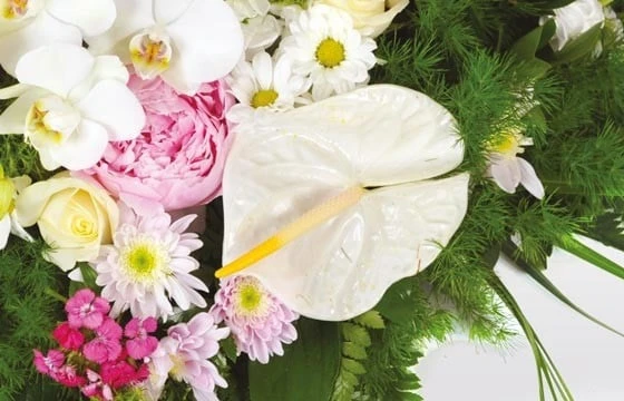 Coeur De Deuil Archange 2 Coeur De Deuil Archange – Image 2