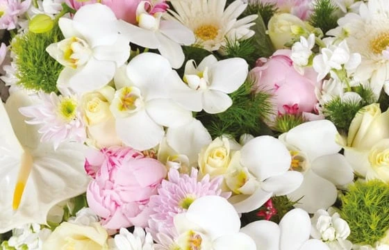 Coeur De Deuil Archange 3 Coeur De Deuil Archange – Image 3