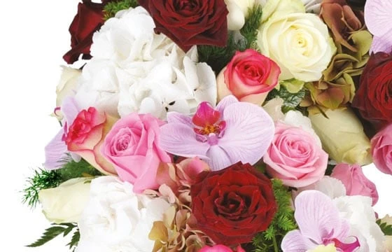 Coeur De Deuil Tristesse 2 Coeur De Deuil Tristesse – Image 2