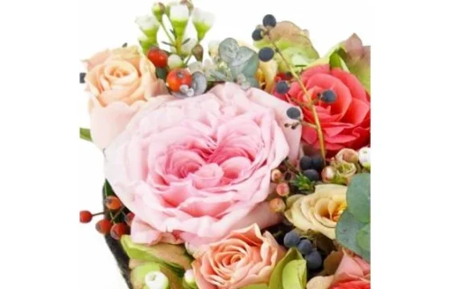 Coeur De Fleur Pastel "Casablanca" 6 Coeur De Fleur Pastel "Casablanca" -Boutique Fleur Deuil coeur de fleur pastel casablanca 2