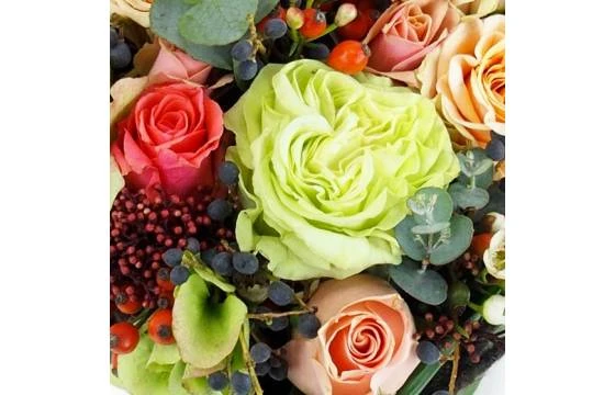 Coeur De Fleur Pastel "Casablanca" 4 Coeur De Fleur Pastel "Casablanca" – Image 4