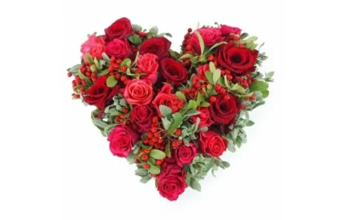 Coeur De Roses Rouges & Fuchsia "Tirana"
