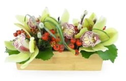 Composition Allongée Verte "Santa Ana"