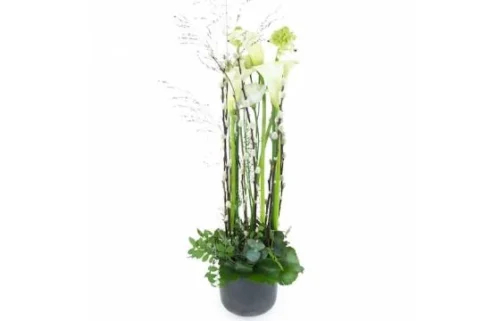 Composition Blanche En Hauteur "Lima"