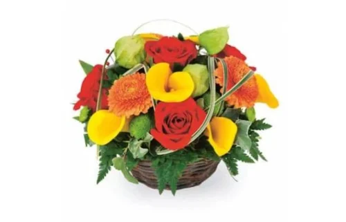 Composition Colorée Maïa