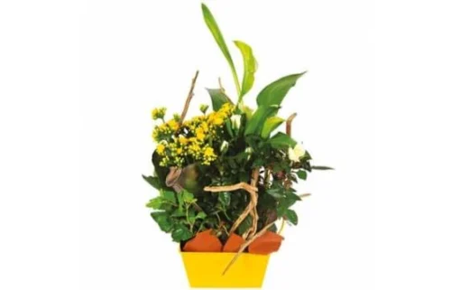 Composition De Deuil Jaune & Blanche Intensité