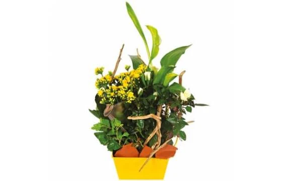 Composition De Deuil Jaune & Blanche Intensité 1 Composition De Deuil Jaune & Blanche Intensité