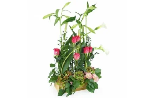 Composition De Fleur Rose & Vert "Salvador"