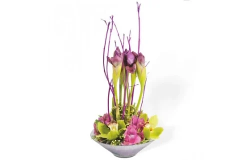 Composition Belle Dame