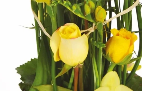Composition De Fleurs Jaunes Bora-Bora -Boutique Fleur Deuil composition de fleurs jaunes bora bora 2