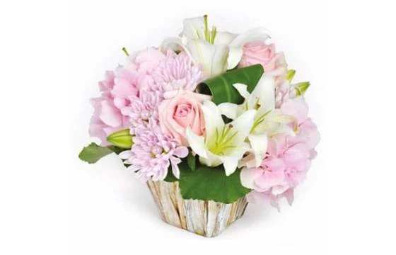 Composition De Fleurs Velour Rose 1 Composition De Fleurs Velour Rose