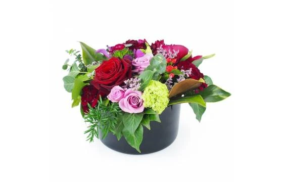 Composition De Rose Rouge & Mauve "Phoenix" 1 Composition De Rose Rouge & Mauve "Phoenix"