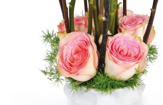 Composition De Roses Roses Cage D'Amour 2 Composition De Roses Roses Cage D'Amour – Image 2