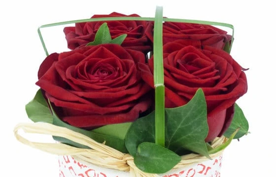 Composition De Roses Rouges Pot D'Amour 3 Composition De Roses Rouges Pot D'Amour – Image 3