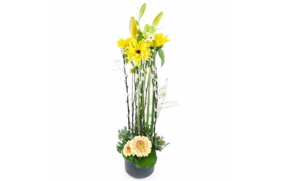 Composition En Hauteur Jaune "Madison" 1 Composition En Hauteur Jaune "Madison"