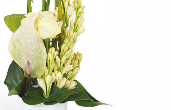 Composition Blanche Sissi 2 Composition Blanche Sissi – Image 2