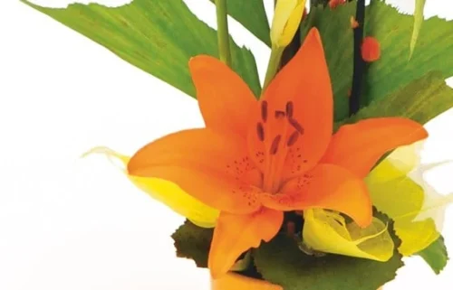 Composition Florale Abricot 5 Composition Florale Abricot -Boutique Fleur Deuil composition florale abricot 2